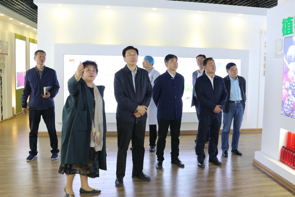 2020年11月2日省政府食安辦副主任，省市場(chǎng)監(jiān)督管理局副局長(zhǎng)王建防到公司調(diào)研指導(dǎo)工作.JPG