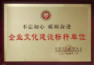斬獲三項大獎 用企業(yè)文化提升公司軟實力，打造市場硬品牌 ——數(shù)字文化創(chuàng)意內(nèi)容應(yīng)用服務(wù)